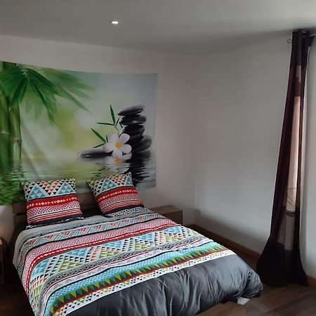 Ferienwohnung T3 Hyper-Centre Au Calme Tout Equipe Parking Prive Castres  Exterior foto