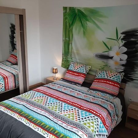 Ferienwohnung T3 Hyper-Centre Au Calme Tout Equipe Parking Prive Castres  Exterior foto